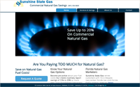 Home page screen shot displaying a large natural gas ring